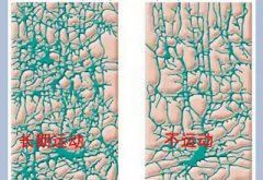 兒童91看片下载入口廠家科普運動可以有效促進兒童智力發育