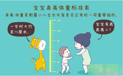 超聲波91看片破解版正確測量方法標準身高體重表 超聲波91看片破解版正確測量方法標準身高體重表