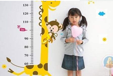 嬰幼兒身長體重測量儀孩子身高與父母身高是否有遺傳性 嬰幼兒身長體重測量儀孩子身高與父母身高是否有遺傳性