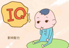 041591成人看片网址提示,如何開發兒童智力不要錯過